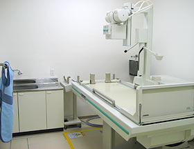 �����ȃN���j�b�N�����g�Q����